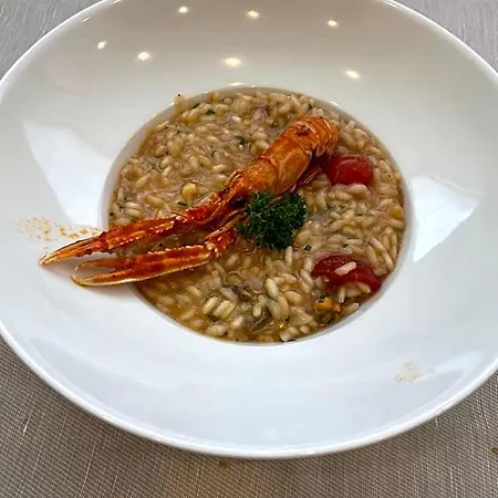 Montreal 3* Бибионе